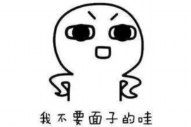 林口专业要账公司